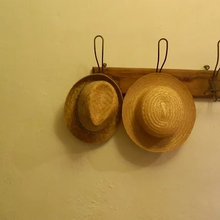 Casa Girasole Bed & Breakfast