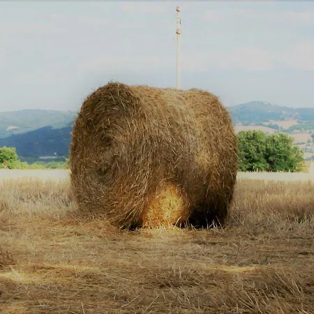 Bed and breakfast Casa Girasole Papiano