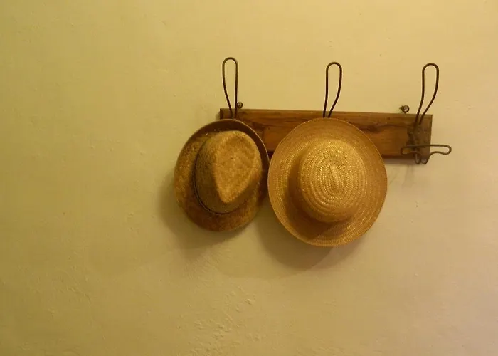 Casa Girasole Bed & Breakfast