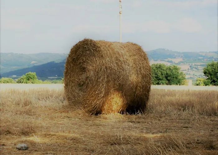 Bed & Breakfast Casa Girasole Papiano